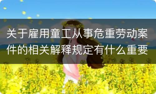 关于雇用童工从事危重劳动案件的相关解释规定有什么重要内容