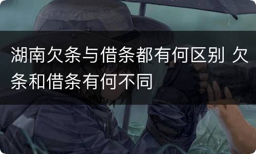 湖南欠条与借条都有何区别 欠条和借条有何不同