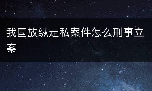 我国放纵走私案件怎么刑事立案