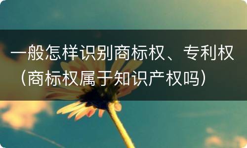 一般怎样识别商标权、专利权（商标权属于知识产权吗）