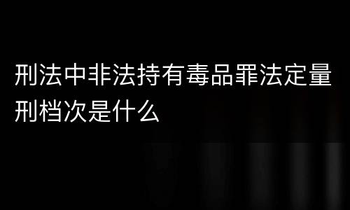 刑法中非法持有毒品罪法定量刑档次是什么