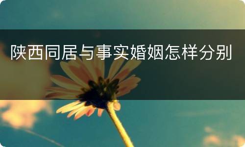 陕西同居与事实婚姻怎样分别