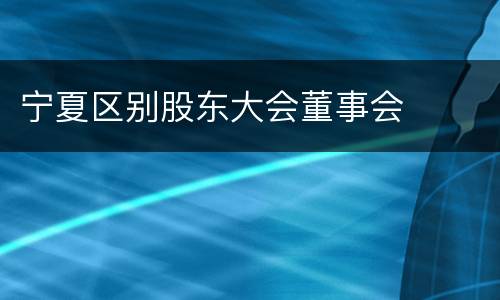 宁夏区别股东大会董事会