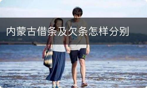 内蒙古借条及欠条怎样分别