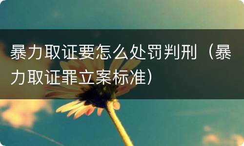 暴力取证要怎么处罚判刑（暴力取证罪立案标准）