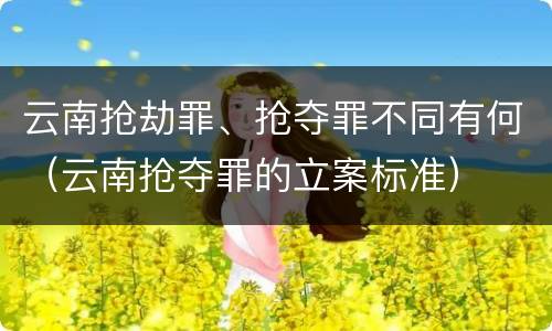 云南抢劫罪、抢夺罪不同有何（云南抢夺罪的立案标准）