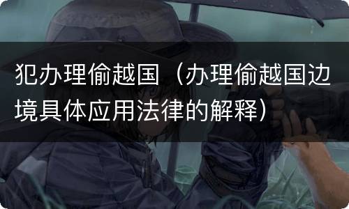 犯办理偷越国（办理偷越国边境具体应用法律的解释）