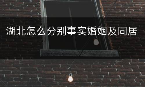 湖北怎么分别事实婚姻及同居