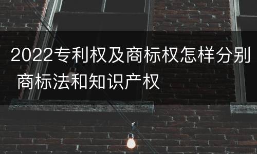 2022专利权及商标权怎样分别 商标法和知识产权