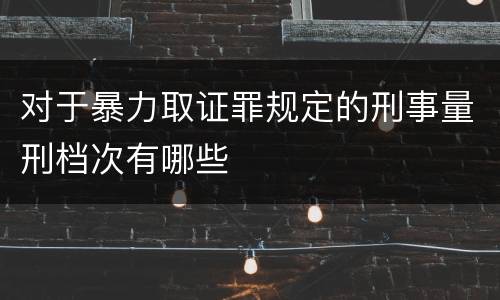 对于暴力取证罪规定的刑事量刑档次有哪些