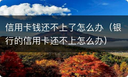 信用卡钱还不上了怎么办（银行的信用卡还不上怎么办）