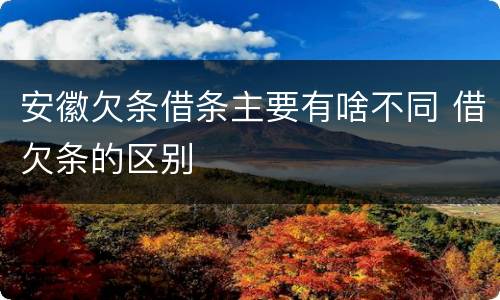安徽欠条借条主要有啥不同 借欠条的区别