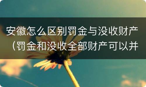 安徽怎么区别罚金与没收财产（罚金和没收全部财产可以并用吗）