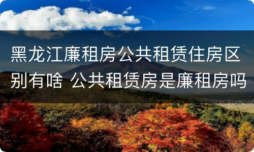 黑龙江廉租房公共租赁住房区别有啥 公共租赁房是廉租房吗