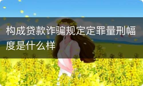 构成贷款诈骗规定定罪量刑幅度是什么样