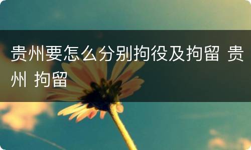 贵州要怎么分别拘役及拘留 贵州 拘留