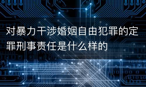 对暴力干涉婚姻自由犯罪的定罪刑事责任是什么样的