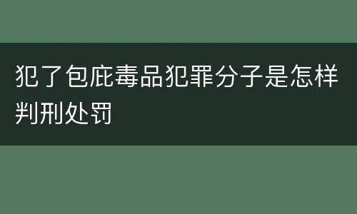 犯了包庇毒品犯罪分子是怎样判刑处罚