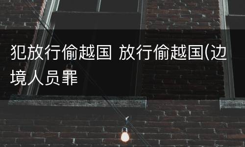 犯放行偷越国 放行偷越国(边境人员罪
