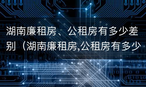 湖南廉租房、公租房有多少差别（湖南廉租房,公租房有多少差别呢）