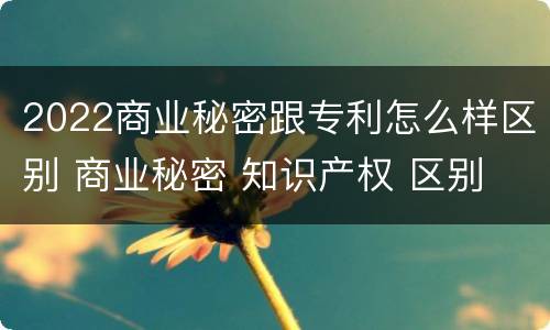 2022商业秘密跟专利怎么样区别 商业秘密 知识产权 区别