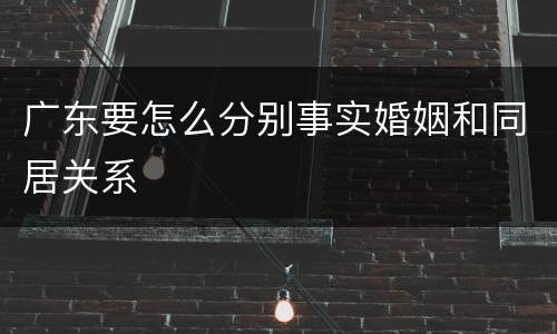 广东要怎么分别事实婚姻和同居关系