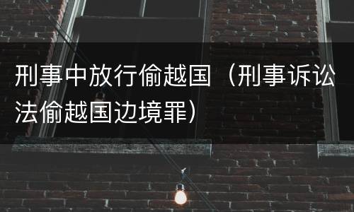 刑事中放行偷越国（刑事诉讼法偷越国边境罪）