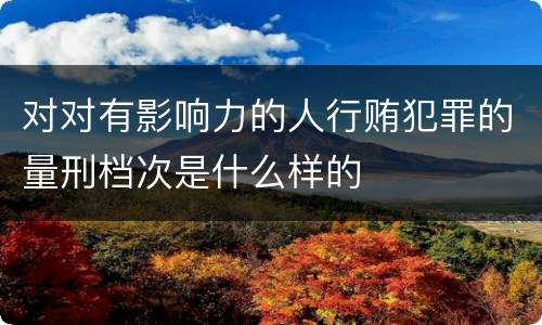 对对有影响力的人行贿犯罪的量刑档次是什么样的