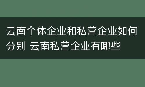 云南个体企业和私营企业如何分别 云南私营企业有哪些