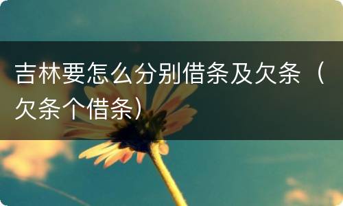 吉林要怎么分别借条及欠条（欠条个借条）