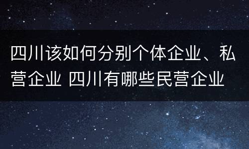 四川该如何分别个体企业、私营企业 四川有哪些民营企业