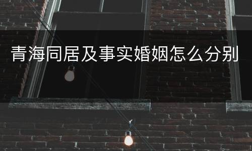 青海同居及事实婚姻怎么分别