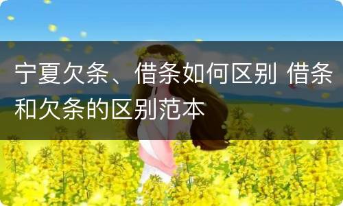 宁夏欠条、借条如何区别 借条和欠条的区别范本