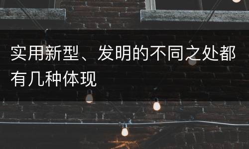 实用新型、发明的不同之处都有几种体现