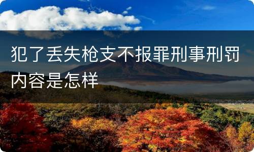 犯了丢失枪支不报罪刑事刑罚内容是怎样