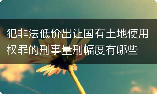 犯非法低价出让国有土地使用权罪的刑事量刑幅度有哪些