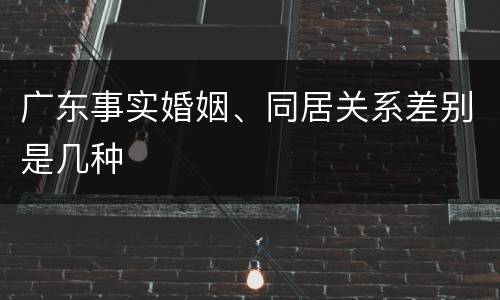 广东事实婚姻、同居关系差别是几种