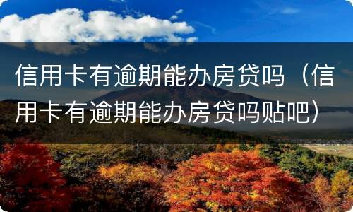 信用卡有逾期能办房贷吗（信用卡有逾期能办房贷吗贴吧）