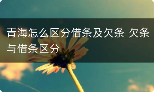 青海怎么区分借条及欠条 欠条与借条区分