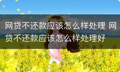 网贷不还款应该怎么样处理 网贷不还款应该怎么样处理好