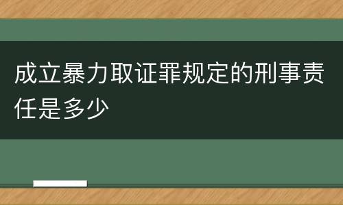 成立暴力取证罪规定的刑事责任是多少