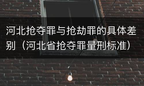 河北抢夺罪与抢劫罪的具体差别（河北省抢夺罪量刑标准）