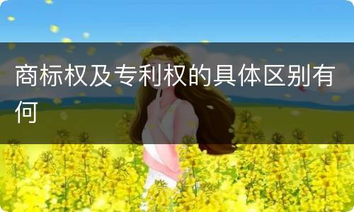 商标权及专利权的具体区别有何