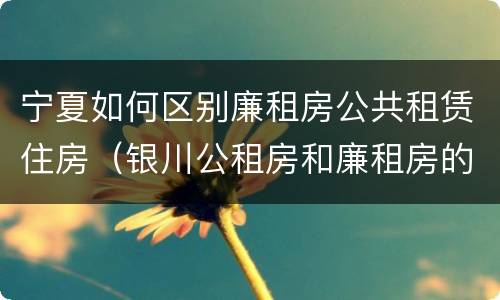 宁夏如何区别廉租房公共租赁住房（银川公租房和廉租房的区别）