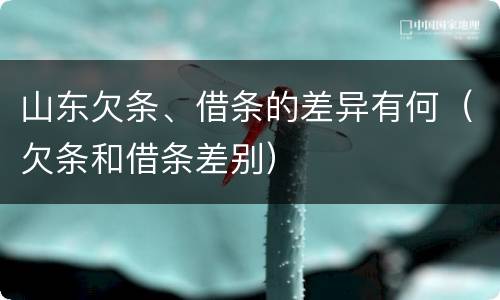 山东欠条、借条的差异有何（欠条和借条差别）