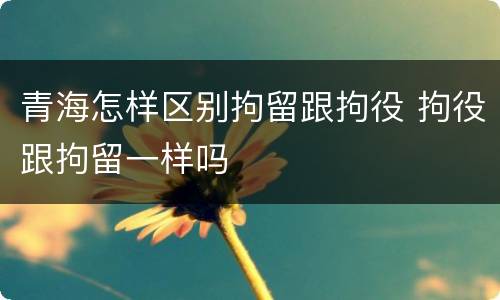 青海怎样区别拘留跟拘役 拘役跟拘留一样吗