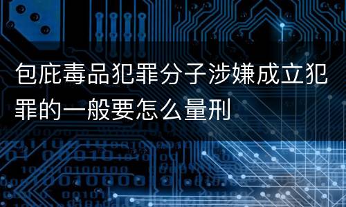 包庇毒品犯罪分子涉嫌成立犯罪的一般要怎么量刑