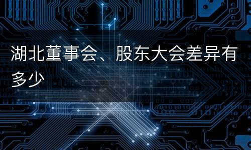 湖北董事会、股东大会差异有多少