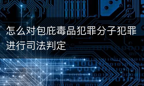 怎么对包庇毒品犯罪分子犯罪进行司法判定