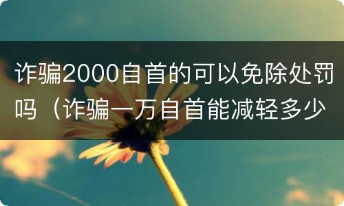 诈骗2000自首的可以免除处罚吗（诈骗一万自首能减轻多少刑）